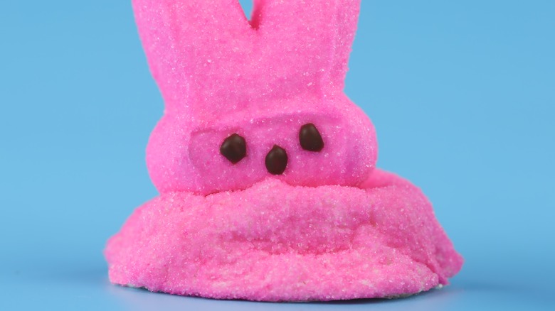 pink peep melting blue background