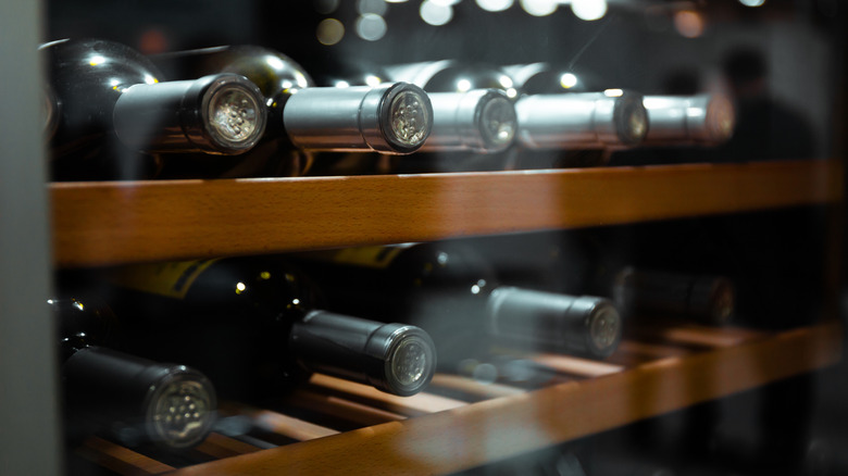 wine bottles in a wine fridge