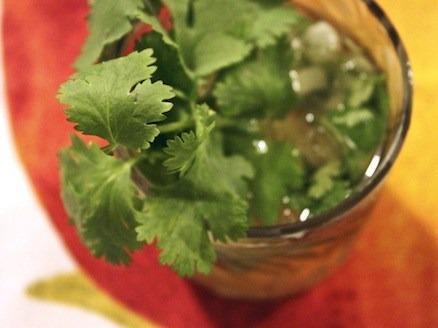 Tequila Julep