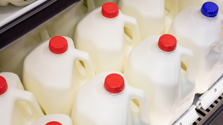 gallons of milk displayed in store