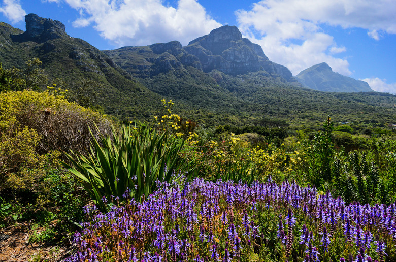8. Cape Town