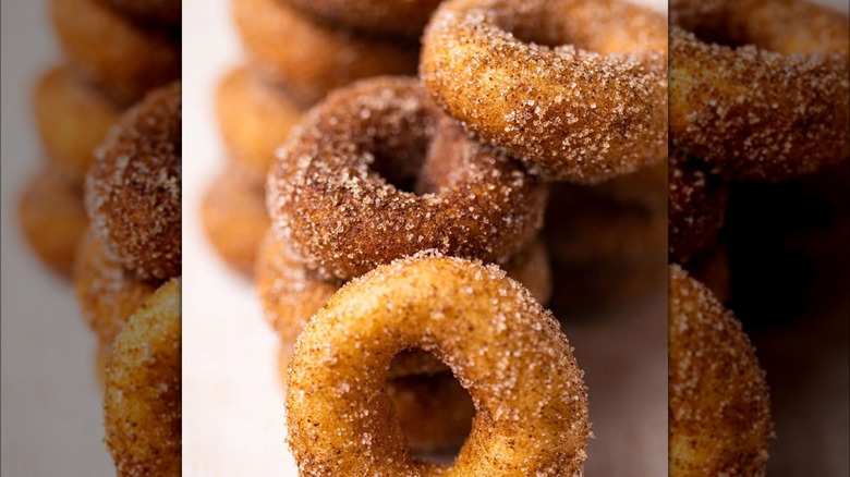 Little Moose Donuts