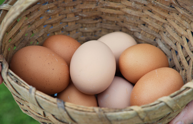 Eggs 