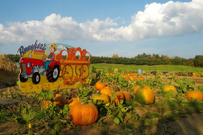 #3 Baughers Orchards and Ranch, Westminister, Md.
