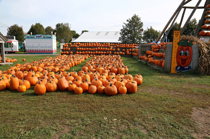#5 The Great Pumpkin Farm, Clarence, N.Y.