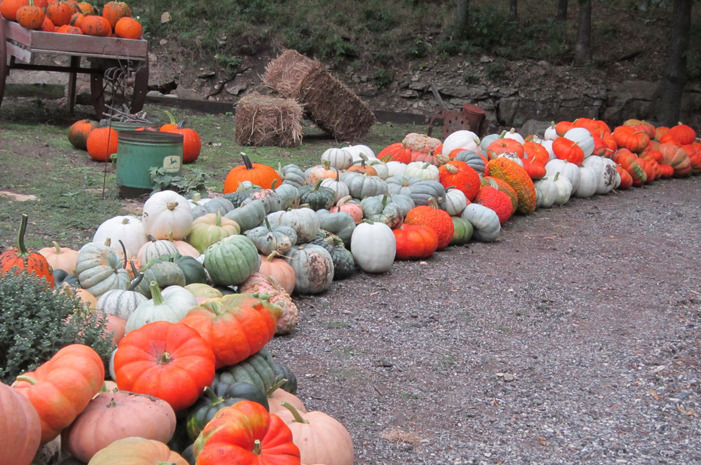 #8 Walters' Pumpkin Patch, Burns, Kan.