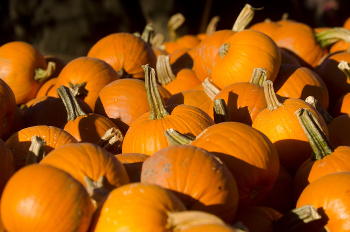 #10 Linvilla Orchards, Media, Penn.