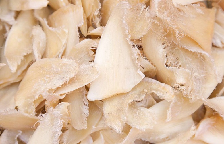 Shark Fin