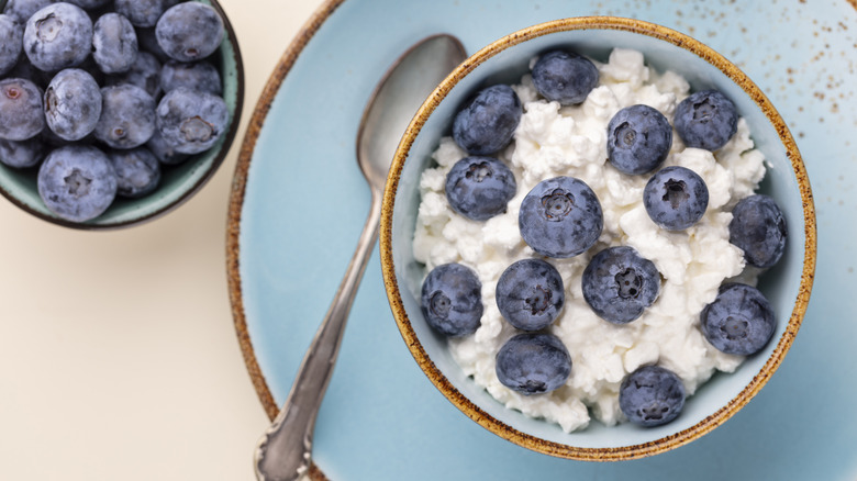 Bowl of cottage cheese with fresh blueberries