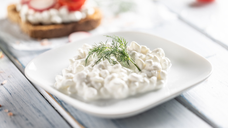 Cottage cheese on a plate, with a dill frond on top