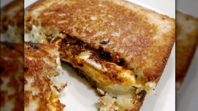 Adult Cheese sandwich