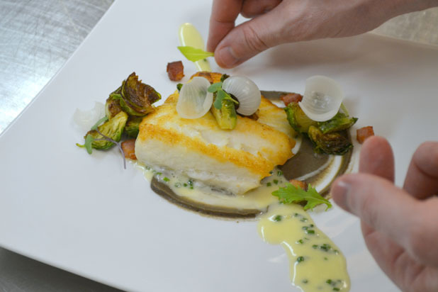 Seared Halibut by chef Michael Sindoni  
