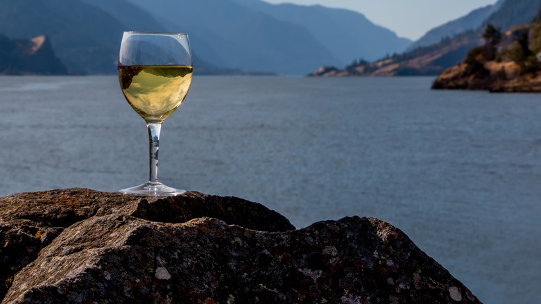 pinot gris