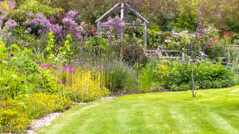 A verdant garden with a well-kept lawn