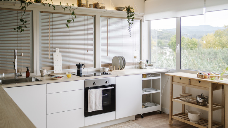 Kitchen with small pops of greenery