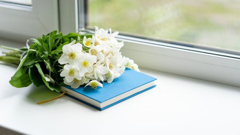 A book and some white flowers on a window sill