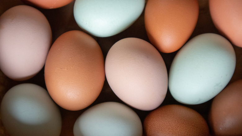 Multi-colored eggs