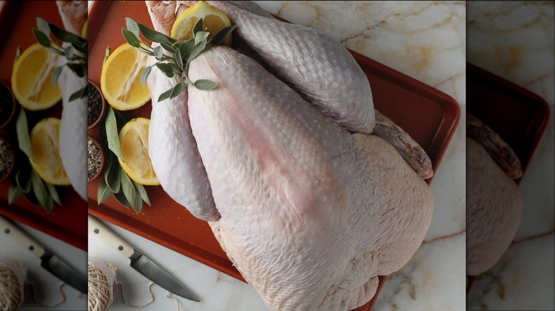 d'artagnan heritage turkey