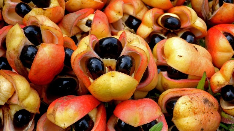 ackee fruits