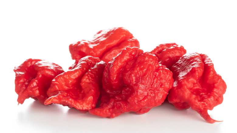 Dragon's Breath pepper