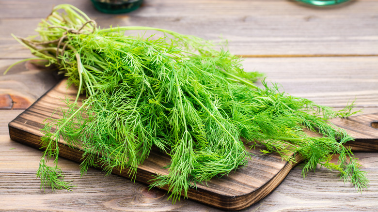 Bunch of fresh dill sprigs on a wooden cutting board