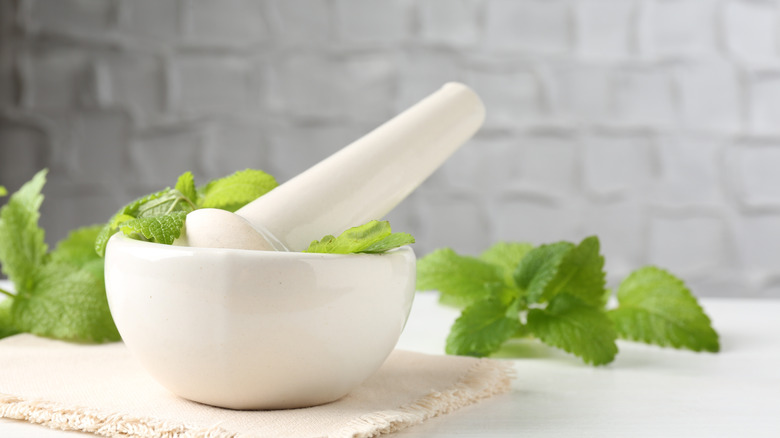Fresh lemon balm leaves with a white mortar and pestle