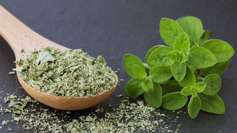 Close up of fresh and dried marjoram in a wooden spoon