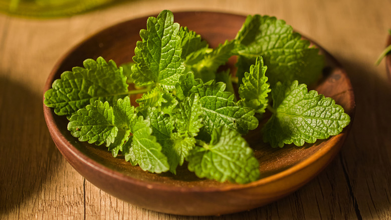 Fresh mint leaves in a wooden bowl