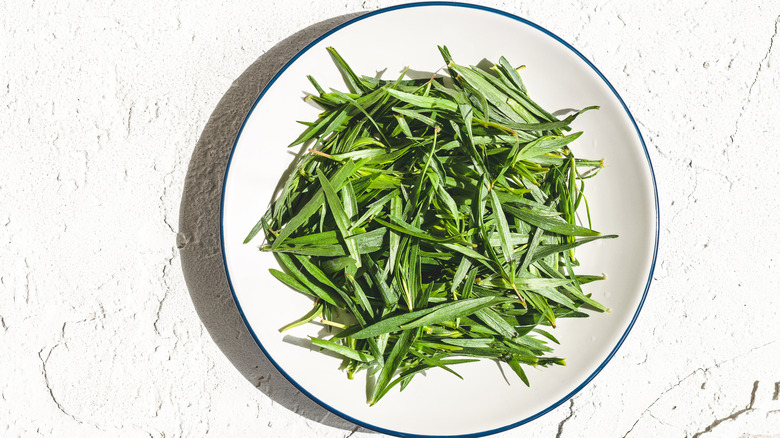 White plate of fresh tarragon leaves