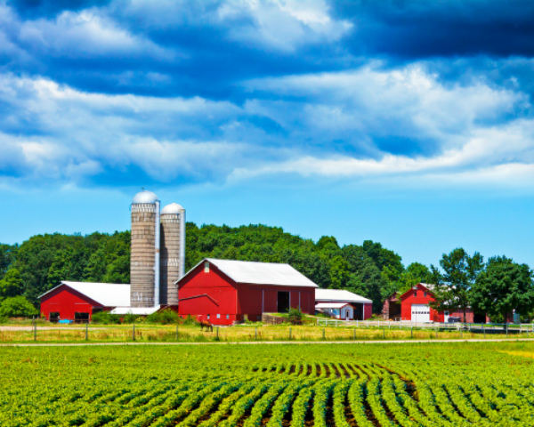 farm