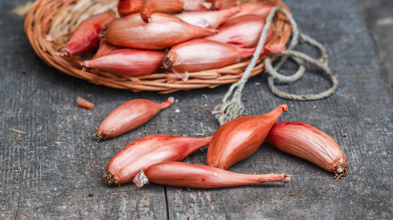 Shallots in a bowl