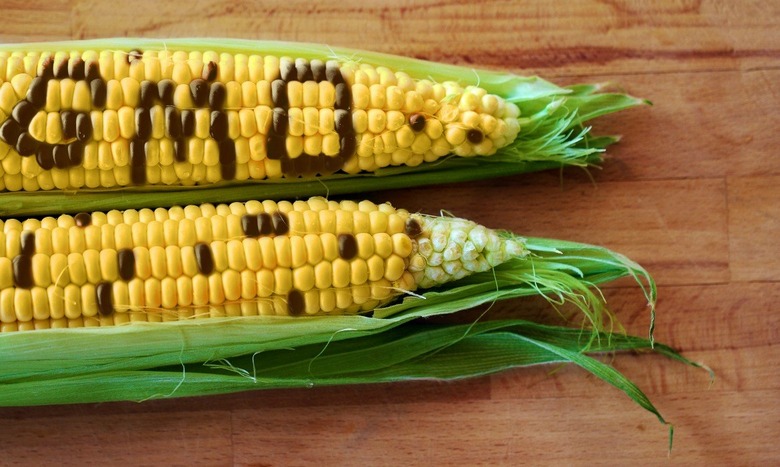 gmo