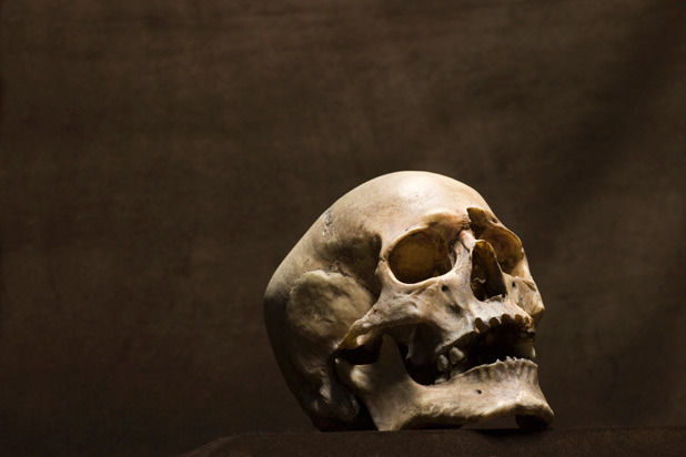 Skull Cups