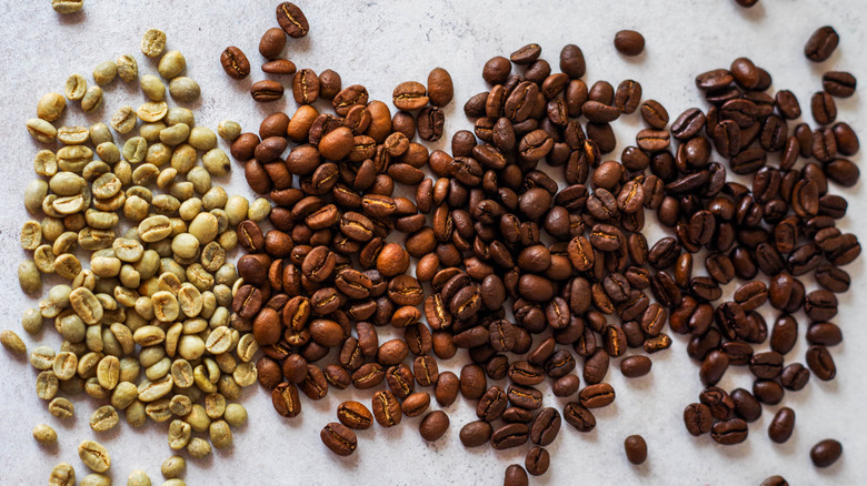different roast levels of coffee beans
