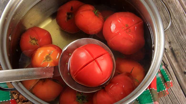 Pot full of tomatoes