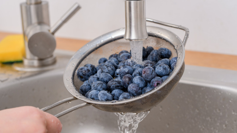 Rinsing blueberries in a sieve under faucet