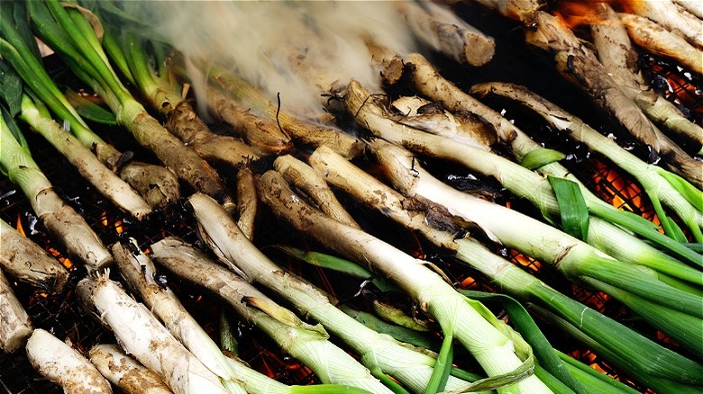 Grilled scallions
