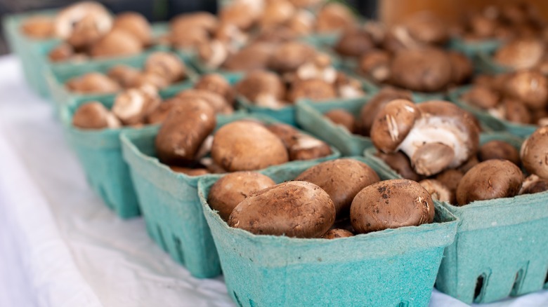 Crimini mushrooms in blue market boxes