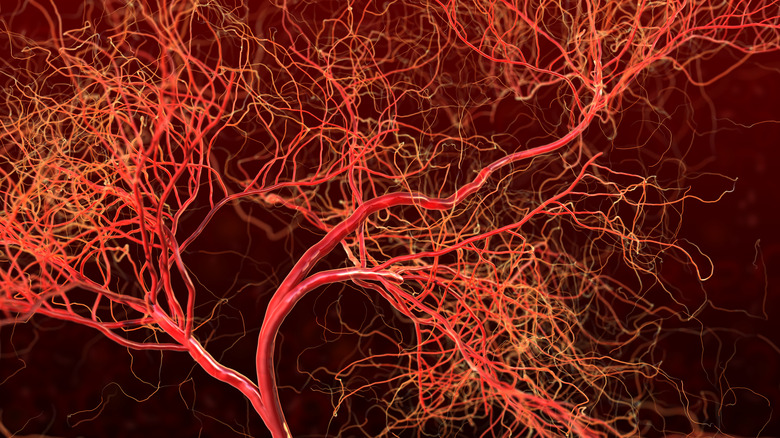 abstract illustration of blood vessels