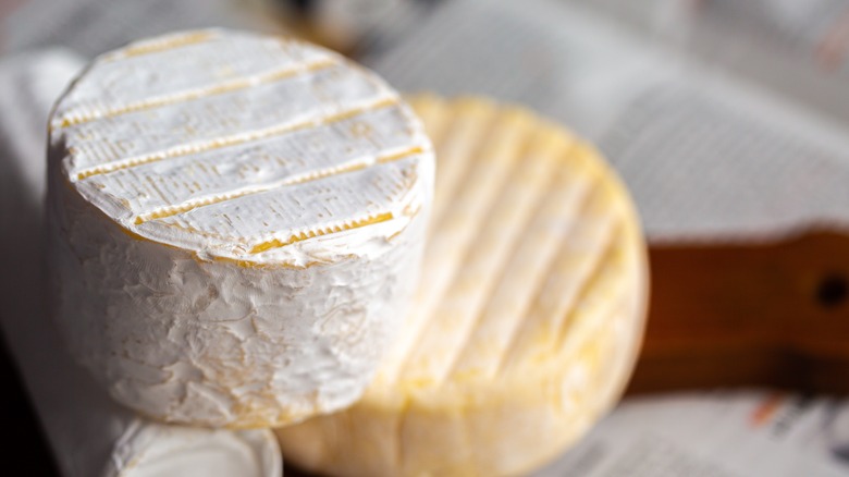 Three round pieces of cheese