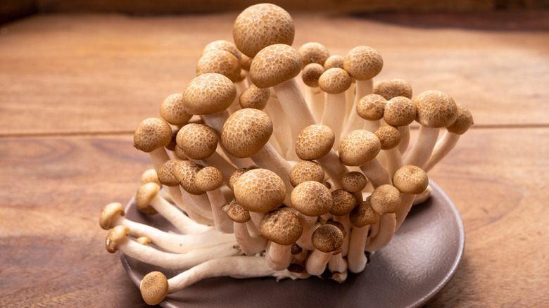 Shimeji mushrooms