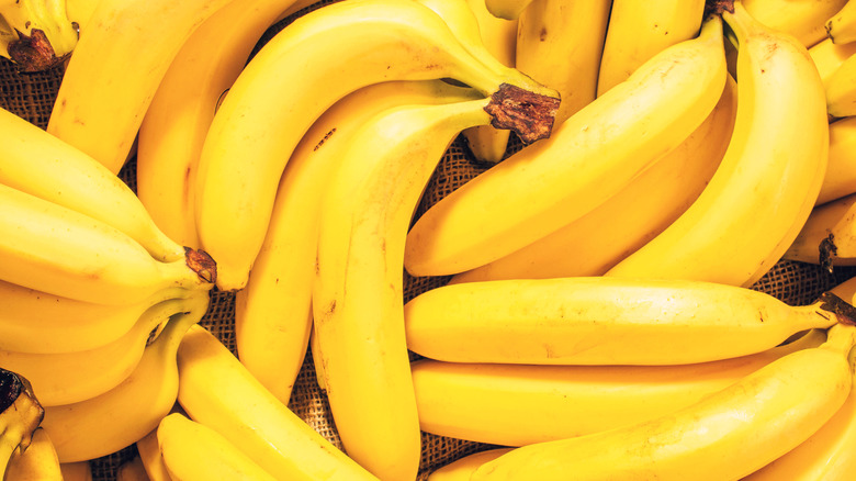 Many bunches of yellow bananas