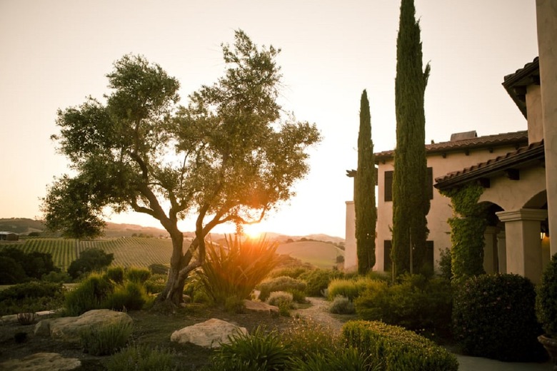 California: The Canyon Villa (Paso Robles)