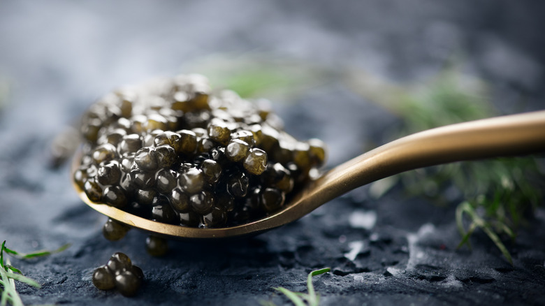 gold spoon of caviar