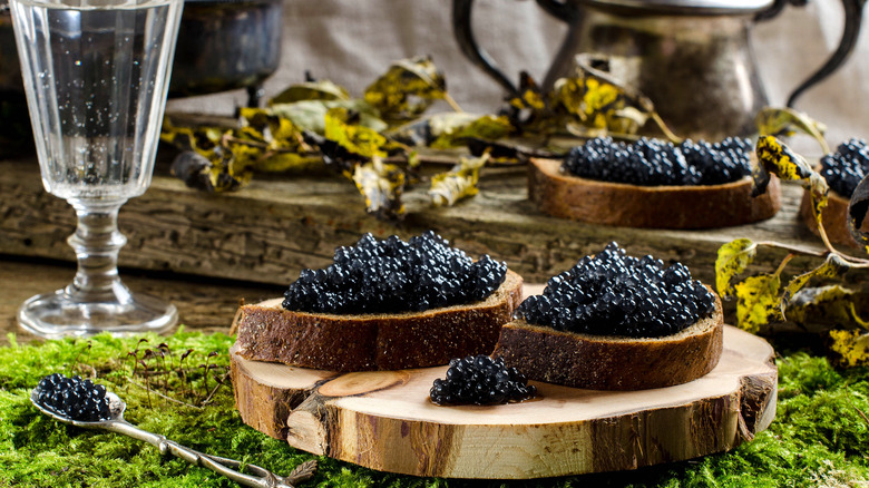caviar on bread with drink