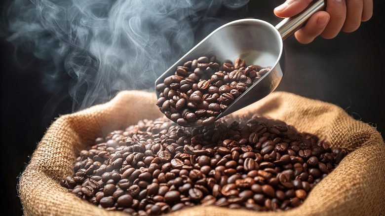 burlap sack of dark roast coffee beans with smoke rising and a hand scooping