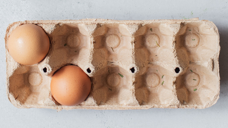 two eggs in carton