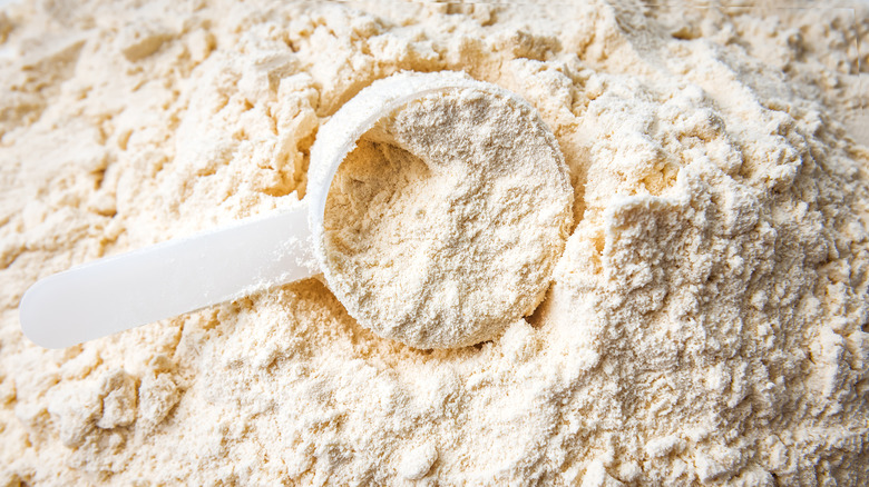 whey protein powder with scoop