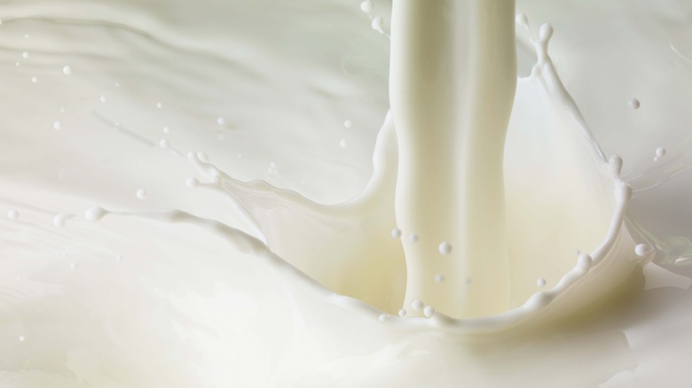 pouring milk