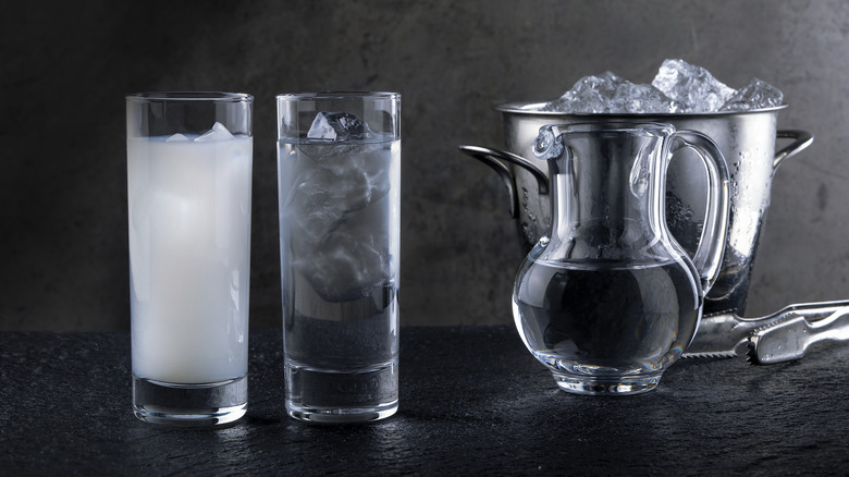 Glasses of raki with ice bucket